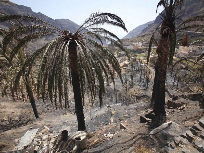 Die Brände haben Verwüstungen hinterlassen, hier auf der spanischen Insel La Gomera.