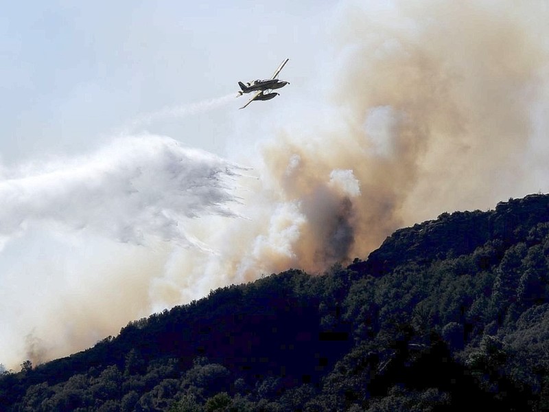 Ein Löschungsflugzeug kreist über der Insel La Gomera. Die Waldbrände haben dort Verwüstungen hinterlassen.