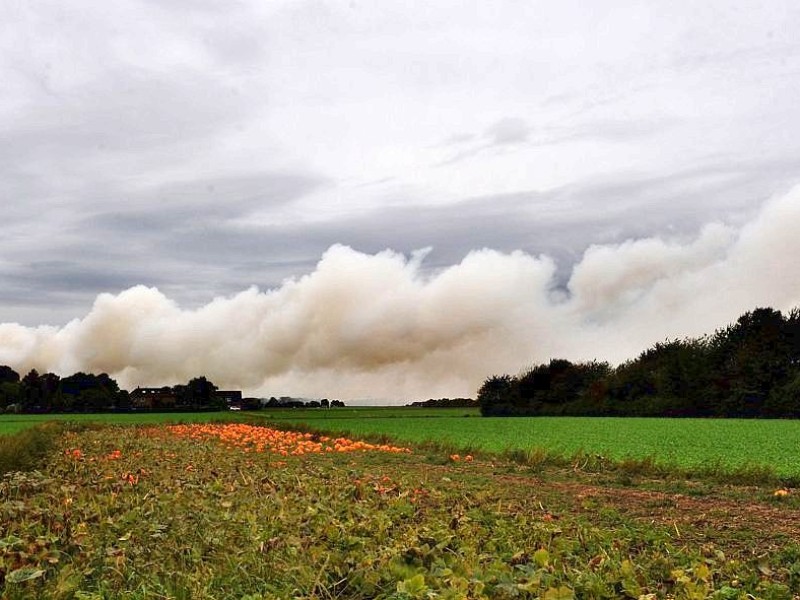 Der Brand im Krefelder Hafen beunruhigt vor allem die Duisburger: Die Rauchwolke zog über den Stadtsüden hinweg, erst in östlicher Richtung nach Mülheim, später wieder zurück über den Rhein nach Moers. Foto: Stephan Eickershoff