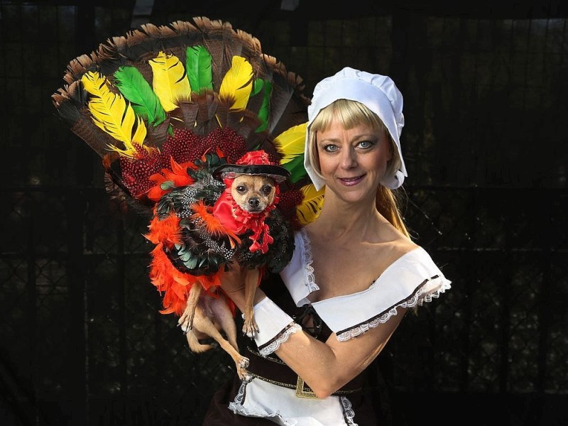 Zum 22. Mal feierten Hundebesitzer vergangenes Wochenende mit ihren Vierbeinern die Tompkins Square Halloween Dog Parade in New York.