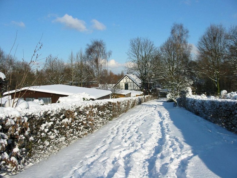 Winter in der Gartenanlage.