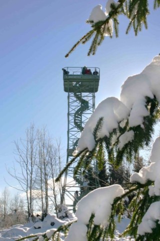 Hilchenbach-Giller, Aussichtsturm (650 m über NN) Februar 2005.