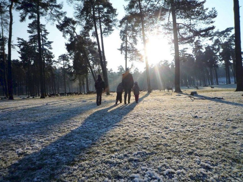 Aufnahme aus dem Naturwildpark Granat (Haltern) nach den ersten Schneefällen im Winter 2011. Das Bild zeigt eine Mutter mit ihren drei Kindern mit Blick auf die Ausflugswiese.