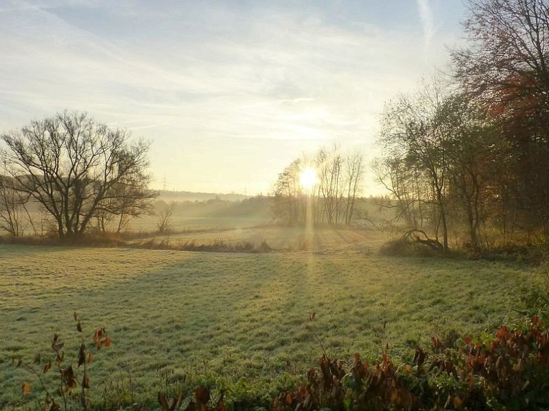 Ruhrwiese bei Hattingen im Morgennebel.