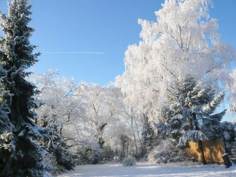 Garten in Oberhausen-Holten.