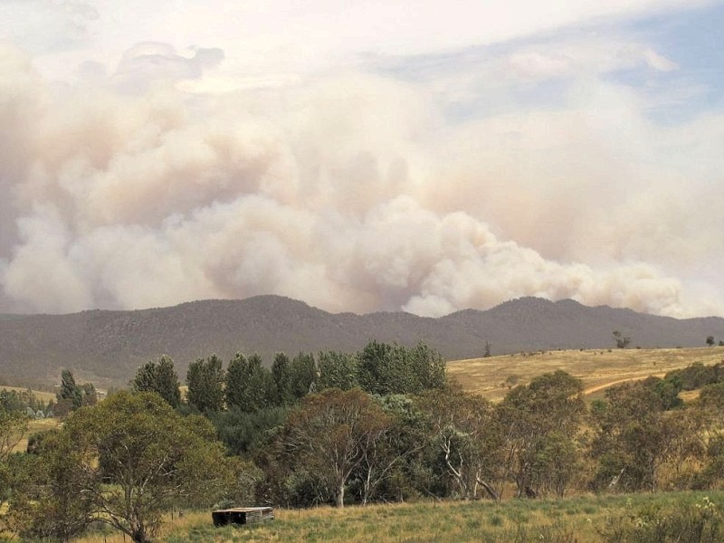 Im ganzen Land herrscht derzeit extreme Hitze. Im Zentrum Australiens könnte das Thermometer am kommenden Montag sogar auf über 50 Grad anstiegen, wie der staatliche Wetterdienst mitteilte.