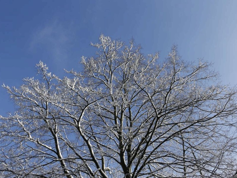 Schnee in Niederberg