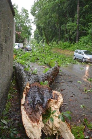 Nach dem Unwetter. Foto: Carmen Fürstenau // IKZ