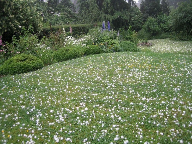Leserfoto Unwetter in Hagen:  Hagelkörner in Emst.