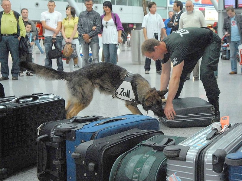 Eine stark steigende Tendenz zeigte sich am Flughafen besonders beim Schmuggel von Waffen und Bargeld. Bedrohten Tieren und Pflanzen sind die Zöllner auch auf der Spur.