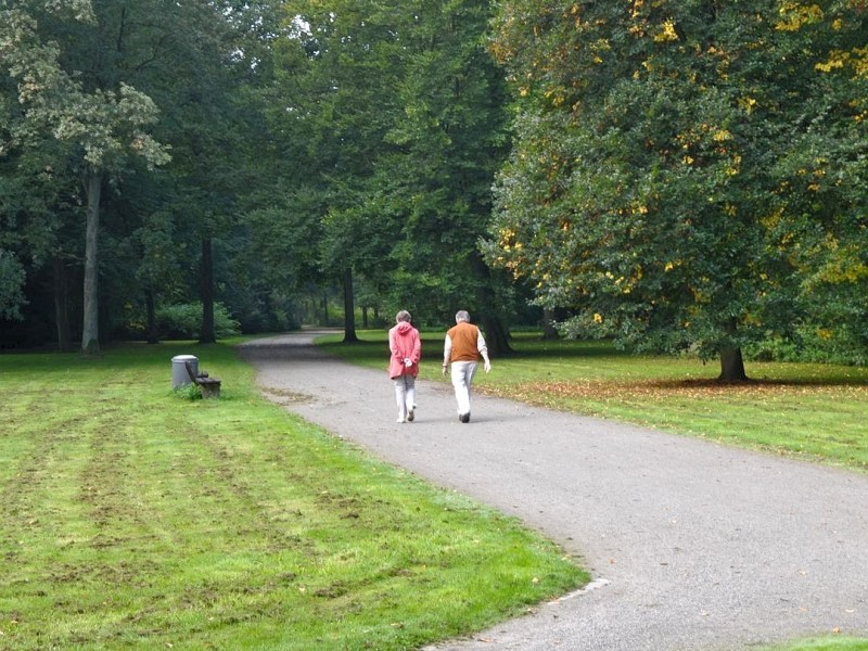 ...ist es im Revierpark Nienhausen nah den Straßenbahnschienen. Nicht wundern muss man sich, wenn einem an der Straße...