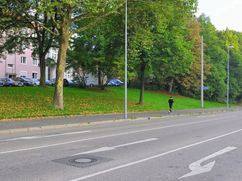 Zeit für einen Erkundungsgang: Über die breite Fahrbahn der langen L64...