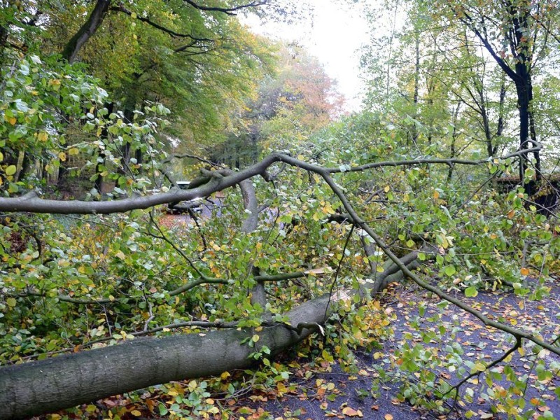 ... in Frasselt (Kleve) am Niederrhein.