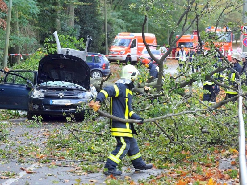 Der 39-jährige Mann am Steuer und seine kleine Nichte wurden von dem Baum erschlagen.