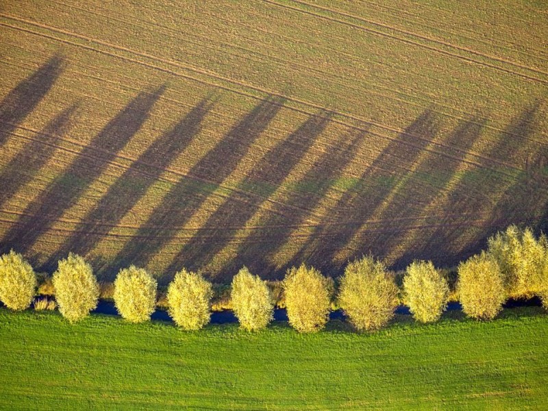 Schöne lange Schatten in Duisburg.
