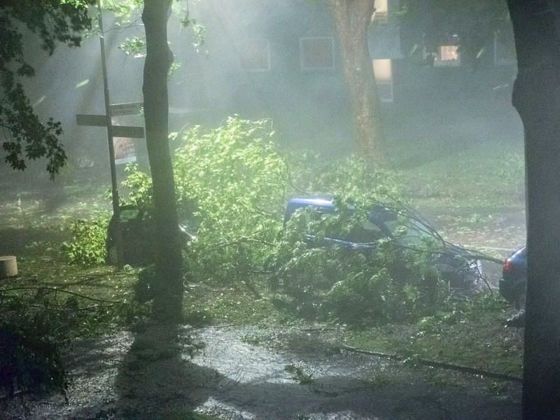 Mehrere Autos sind nach orkanartigen Sturmböen von herabfallenden Ästen und ganzen Bäumen in Bochum beschädigt worden.