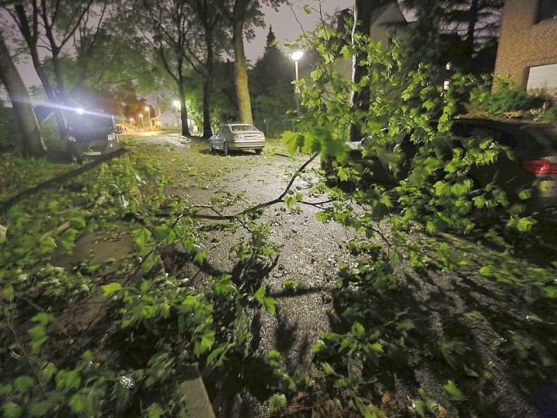 Starke Unwetter über NRW und dem Ruhrgebiet in Oberhausen: An vielen Bäumen sind Äste abgebrochen, die Straßen sind mit abgegrochenen Ästen bedeckt.