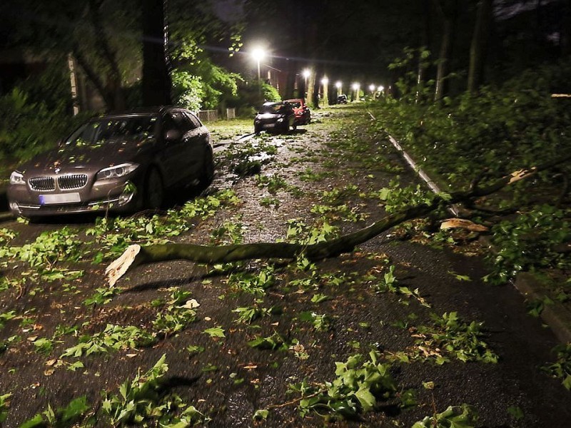 Starke Unwetter über NRW und dem Ruhrgebiet in Oberhausen: An vielen Bäumen sind Äste abgebrochen, die Straßen sind mit abgegrochenen Ästen bedeckt.