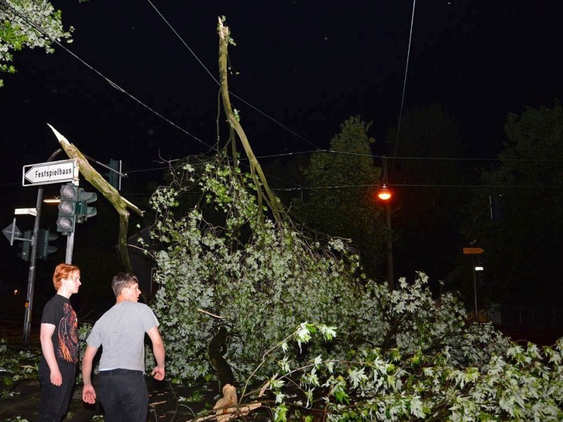 An vielen Bäumen brachen Äste ab, viele Straßen waren blockiert. Teilweise räumten Bürger selber Straßen wieder frei, wie hier in Recklinghausen. Hier sind Äste auf den Stromkabeln der Straßenbeleuchtung gelandet.