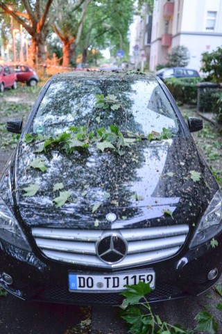 Wie hier in Dortmund mussten die Feuerwehr und andere Hilfsdienste ausrücken, um umgestürzte Bäume von den Straßen zu bergen.