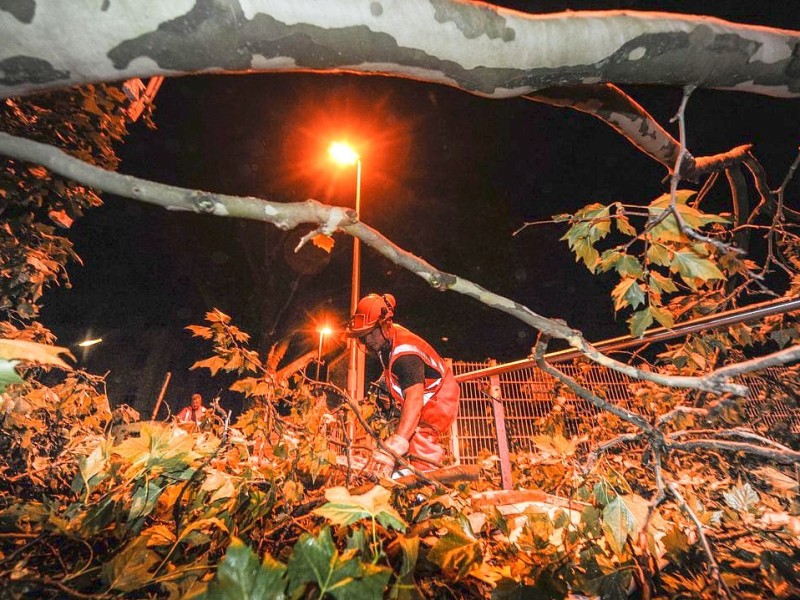 Wie hier in Dortmund mussten die Feuerwehr und andere Hilfsdienste ausrücken, um umgestürzte Bäume von den Straßen zu bergen.