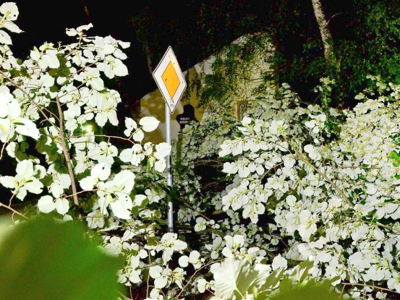 In den späten Abendstunden tobte ein extremes Unwetter über Bochum und hinterließ nach gut 30 Minuten ein totales Chaos. Im Bild: plötzlich im Wald - Vorfahrtschild an der Einmüdung Gudrunstraße / Bergstraße.