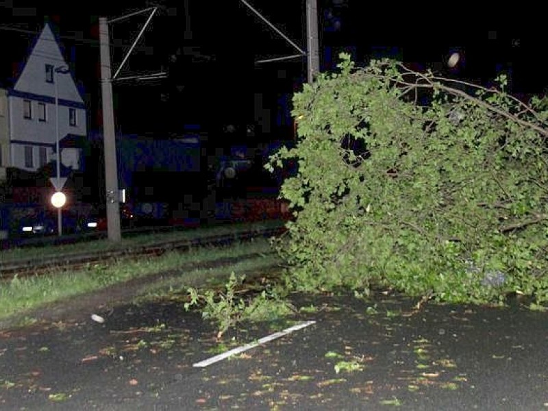 Sturmschäden in Bochum-Bergen, auf der Dietrich-Baumann-Straße und...