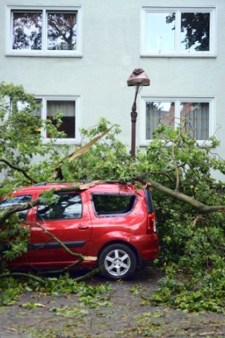 Äste liegen in Gelsenkirchen nach dem Unwetter auf einem Auto.