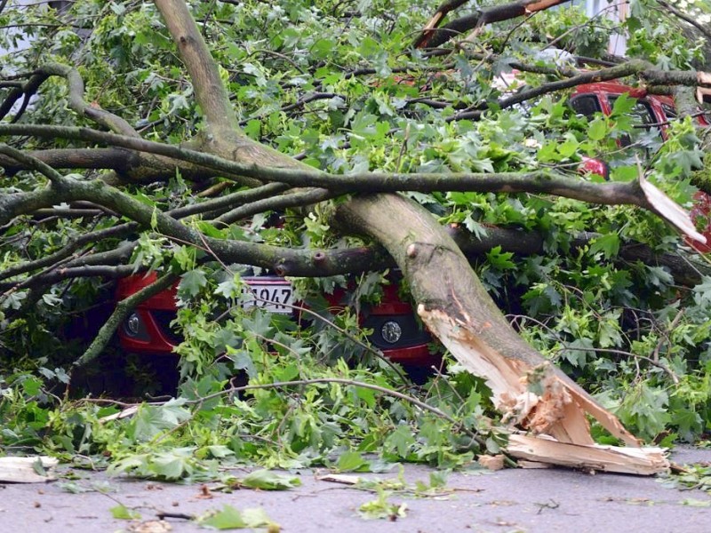 ...liegt unter dem Baum tatsächlich noch ein Auto.