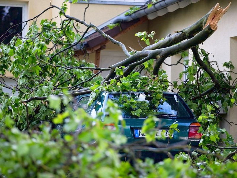 Auch in Neuss haben Orkanböen und Starkregen viele Fahrzeuge unter Ästen begraben.