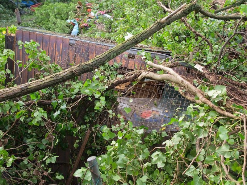 Sie hatten Zuflucht vor dem Unwetter gesucht, als eine schwere Pappel auf das Haus stürzte.