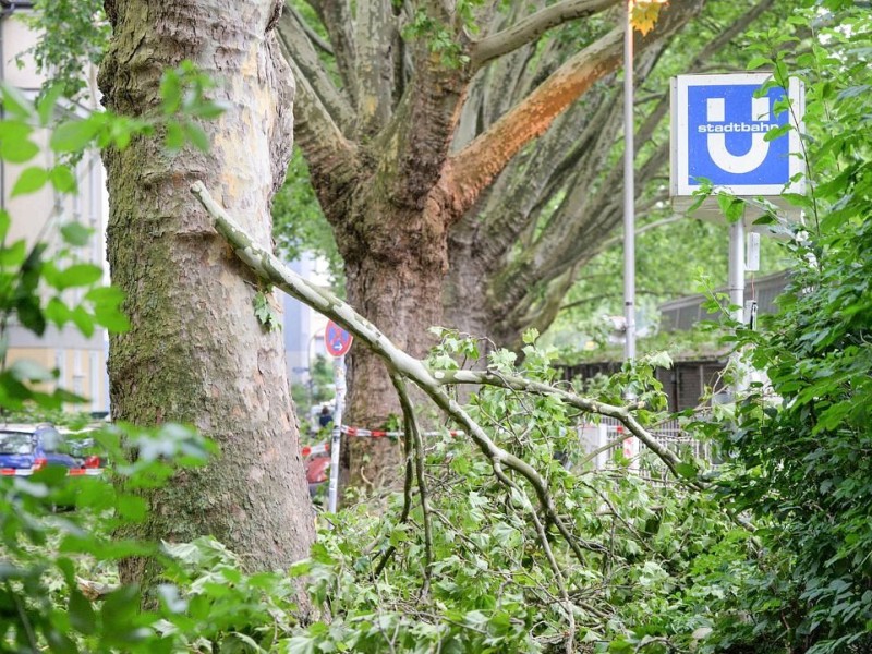 In Dortmund mussten die Feuerwehr und andere Hilfsdienste ausrücken.