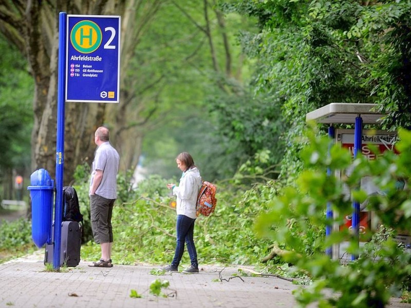 Herabgestürzte Äste an der Ruhrallee in Essen.