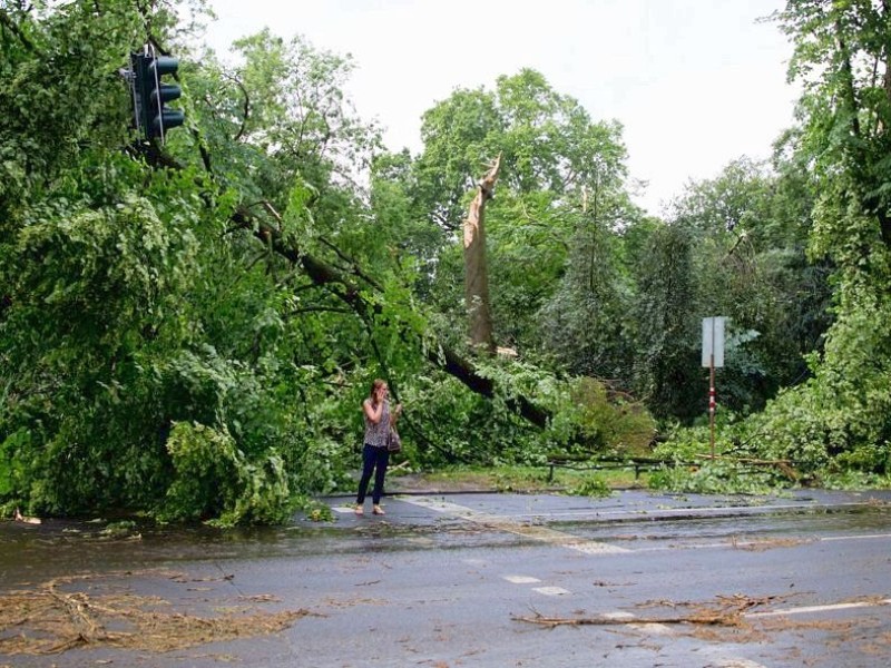 Wieder der Hofgarten in Düsseldorf. Hier hatte der Sturm besonders stark gewütet.