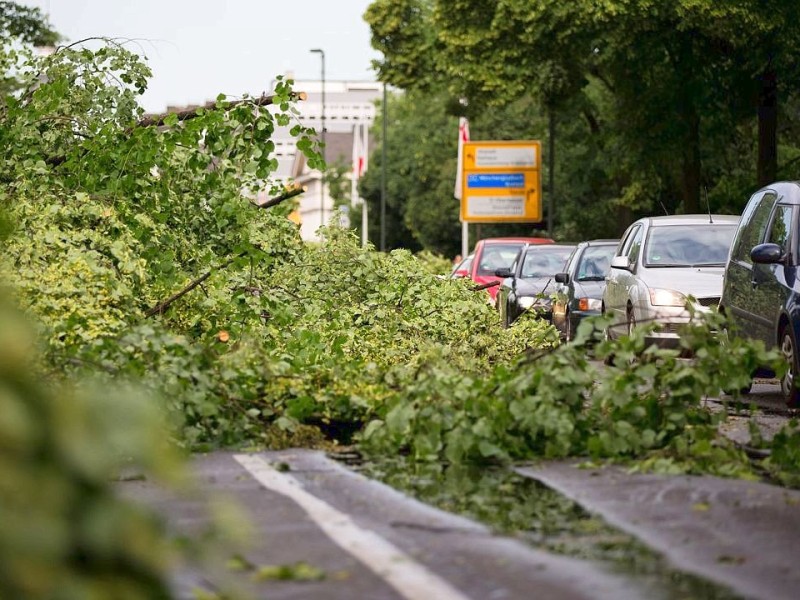 Der Verkehr ist in den Städten an vielen Orten zum Erliegen gekommene - wie hier in Düsseldorf am Hofgarten.