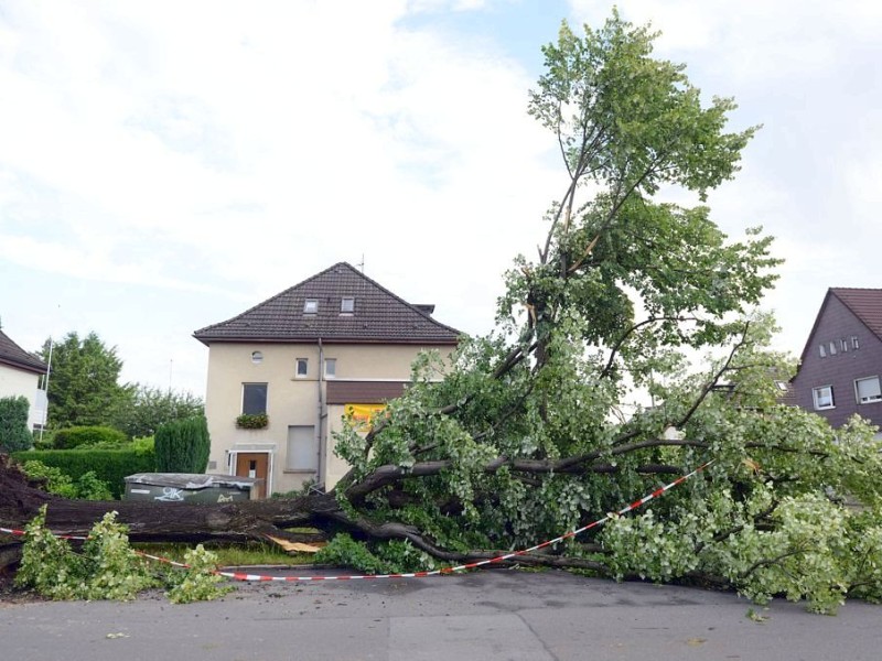 ...ebenso wie einige Häuser, neben denen ganzen Bäume heruntergekommen waren.