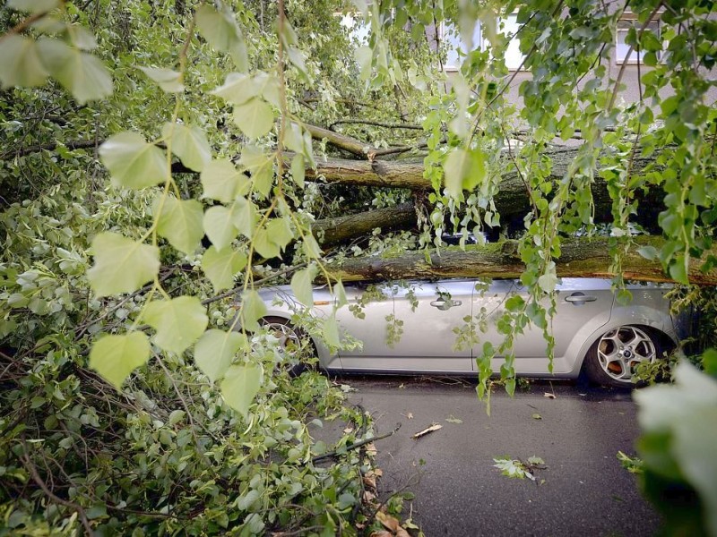 Am Tag nach dem Unwetter wird das ganze Ausmaß, wie hier in Essen-Holsterhausen, sichtbar.