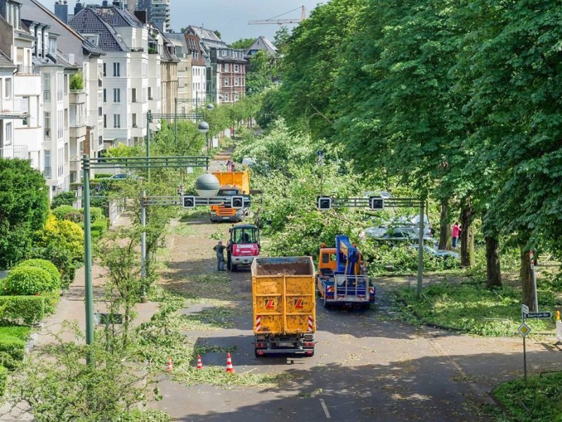 Auf der Cecilienallee in Düsseldorf sind viele...