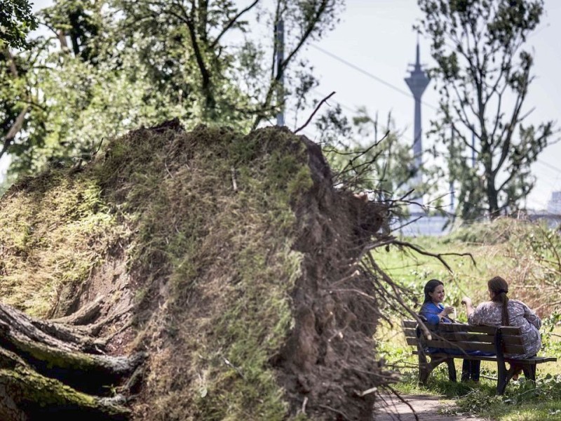 Düsseldorf wurde in der Nacht zum Dienstag von einer Unwetter-Katastrophe heimgesucht. Die traurige Bilanz: drei Tote, zehn Verletzte und Schäden in Höhe von zig Millionen Euro.