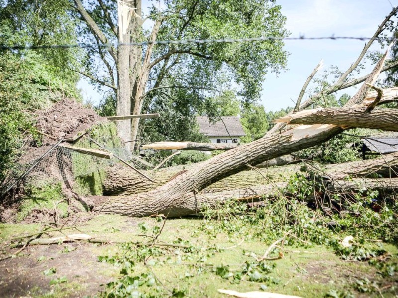 Düsseldorf wurde in der Nacht zum Dienstag von einer Unwetter-Katastrophe heimgesucht. Die traurige Bilanz: drei Tote, zehn Verletzte und Schäden in Höhe von zig Millionen Euro.