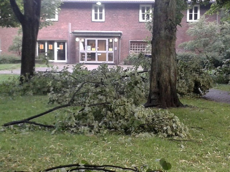 Leserfoto von Sarah Kolbinger. Sie schreibt: Das sind Bilder aus Styrum. Die Umgebung vom Rosenkamp/ Marktstraße /Hinterhof ist sehr verwüstet. Bäume umgekippt auf Autos und in Häuser. Dachziegel sind von den Dächern geflogen und selbst dicke Steinplatten der Baustelle am Rosenkamp sind kaputt. Schilder umgerissen und weggeflogen samt Steinhalterung. Auf der Oberhausenerstraße sind Ampeln ausgefallen und umgekippt und dadurch eine Leitungen kaputt.