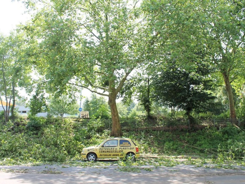 Leserfoto von Thorsten Paaßen von der Kruppstraße in Mülheim-Heißen