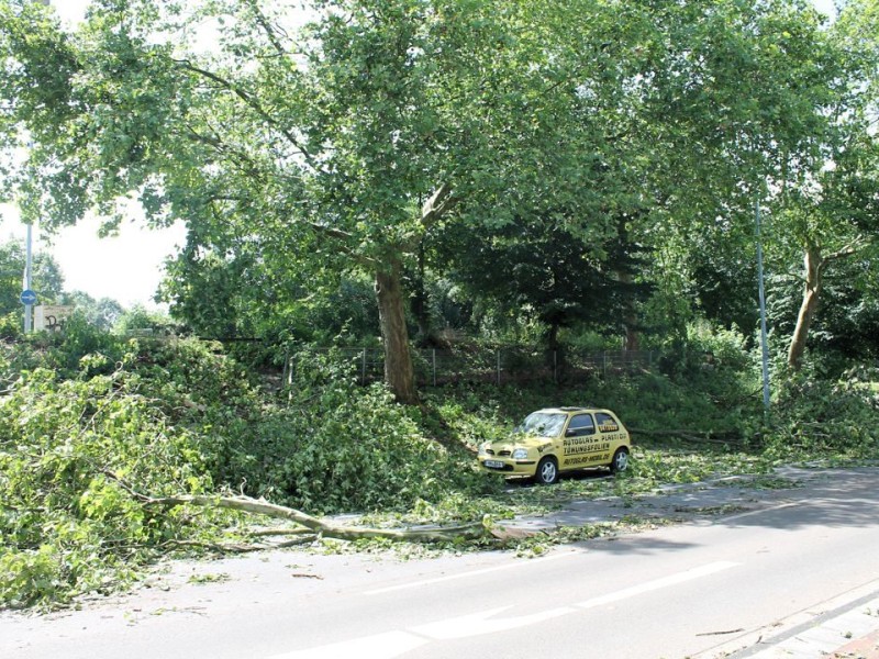 Leserfoto von Thorsten Paaßen von der Kruppstraße in Mülheim-Heißen