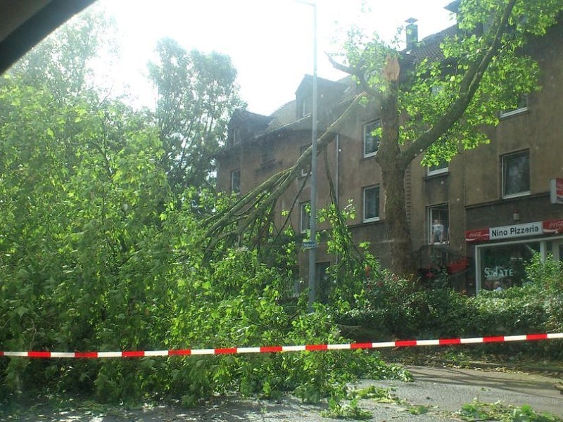 Leserfoto von Thorsten Paaßen von der Kruppstraße in Mülheim-Heißen