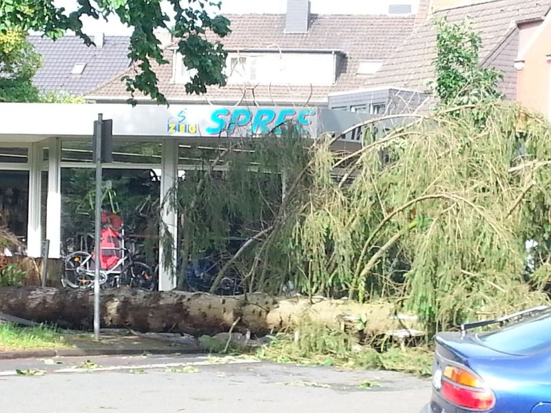 Leserfoto von Lutz Freihoff von der Gnadenkirche in Heißen und Umgebung sowie vom Spielplatz hinter der Schule Filchnerstr