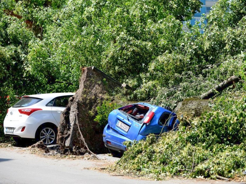 In Essen-Holsterhausen, auf der Planckstraße, sind immer noch viele Autos unter Baumtrümmern begraben. Foto: Kerstin Kokoska