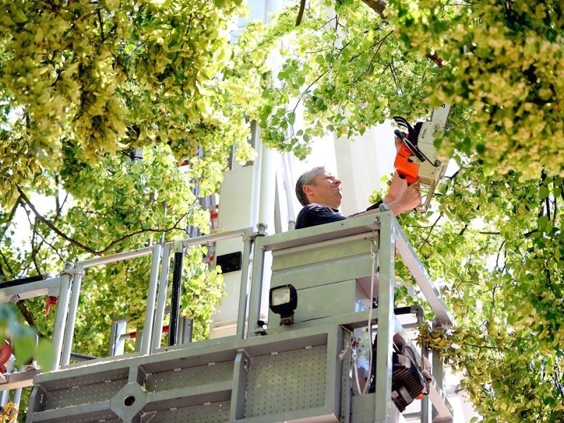 Feuerwehrmann Dieter Loevenich aus Aachen sägt in Frohnhausen. Foto: Kerstin Kokoska