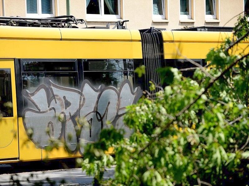 Viele Straßenbahnen der EVAG, hier eine Tram der 106 in Richtung Altenessen an der Haltestelle Sälzerstraße,  müssen bewacht werden. Foto: Kerstin Kokoska