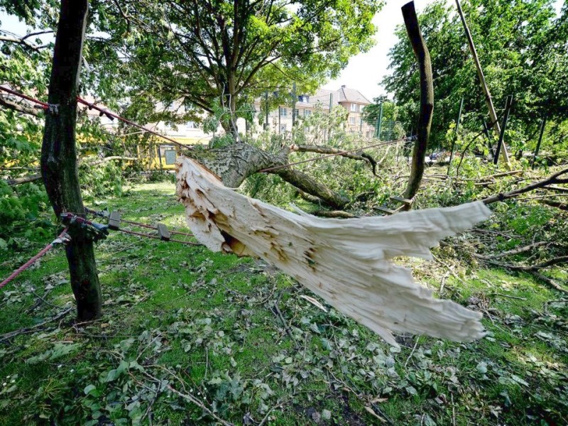 Ein total verwüsteter Spielplatz an der Haltestelle Sälzerstraße. Foto: Kerstin Kokoska