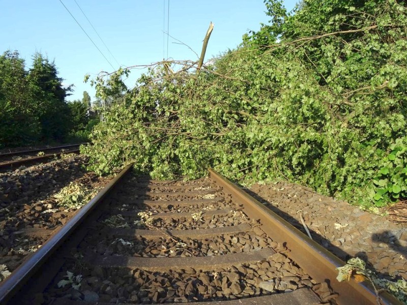 So sah es am Donnerstag noch auf der S-Bahnstrecke zwischen Essen und Bochum aus, hier in Wattenscheid.